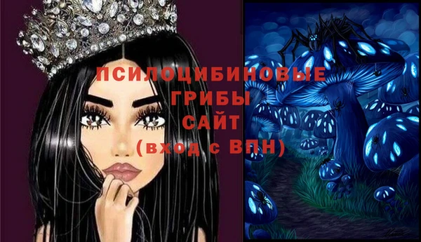 ГАЛЛЮЦИНОГЕННЫЕ ГРИБЫ Нягань